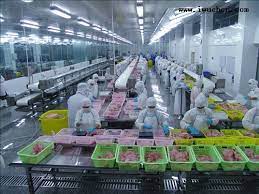 食品加工廠新工廠規(guī)劃的要點有哪些？